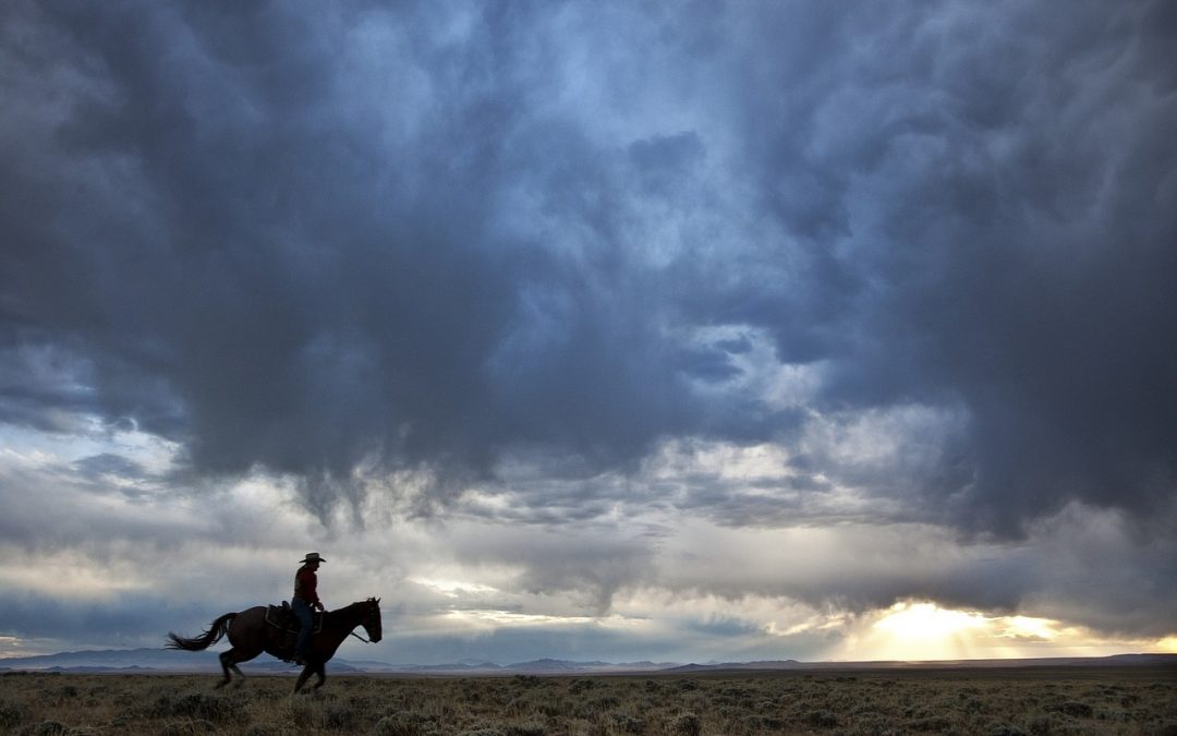 Visionen kann man nicht mit einem Lasso fangen