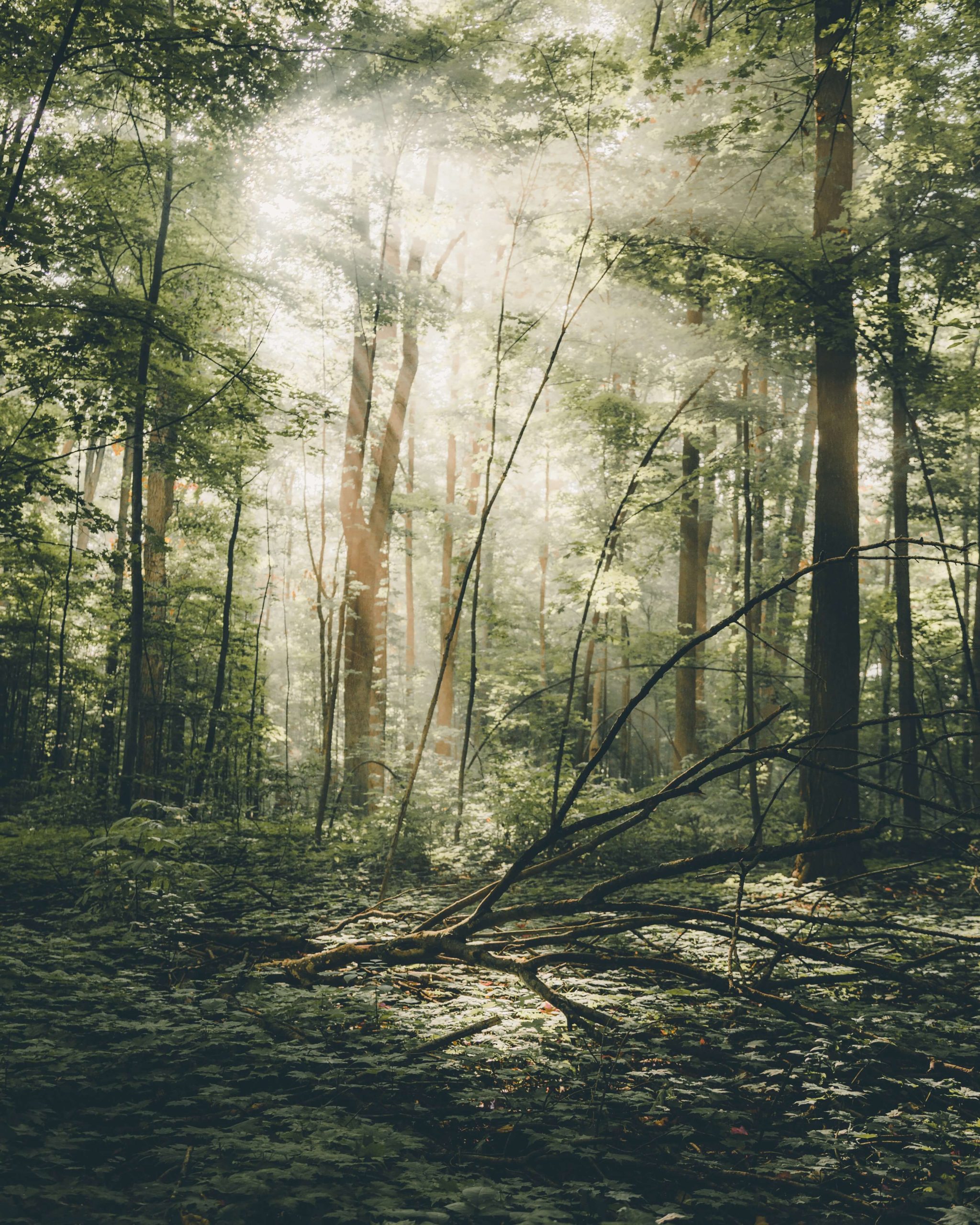 maxx-gong-uwLXzP9U9w4-unsplash