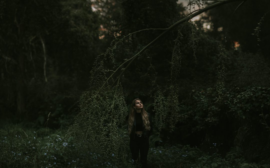 Der Wald, die Ahnenheilung und ich