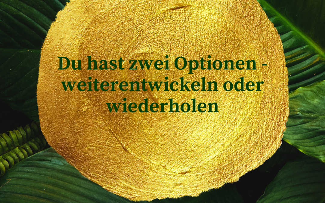 Du hast zwei Optionen: wiederholen oder weiterentwickeln
