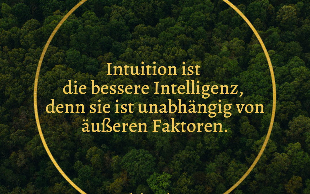 Intuition: die bessere Intelligenz