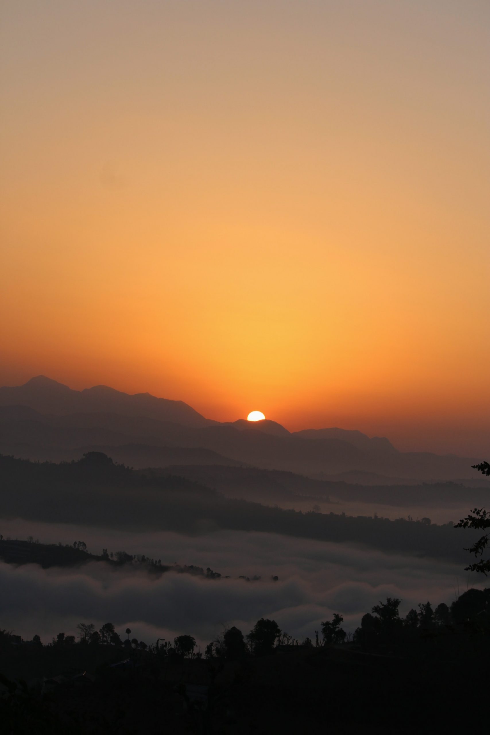 ravi-sharma-hNv5s6NEYig-unsplash (1)