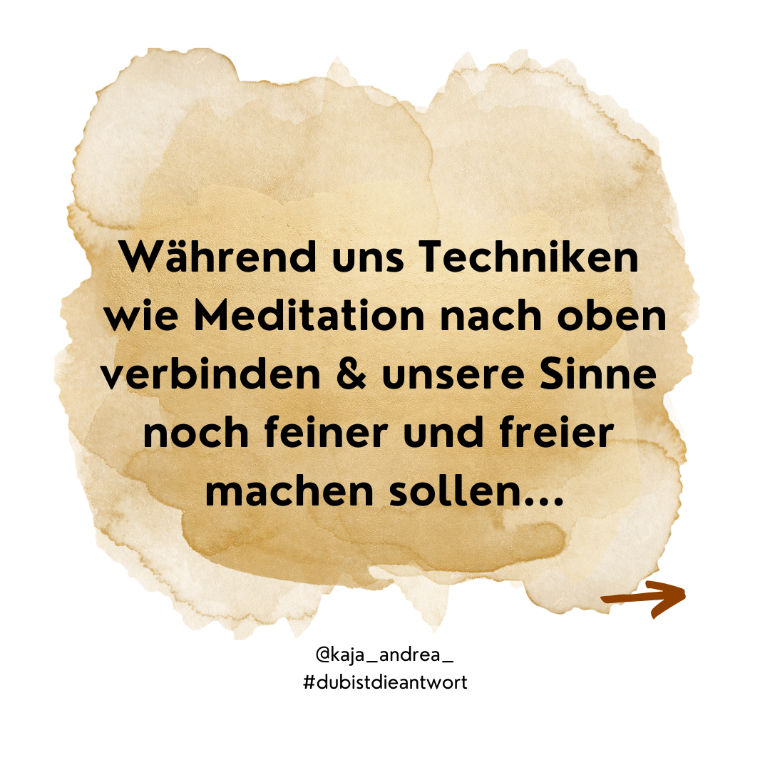 14 Du bist die Antwort