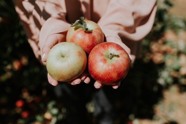 natalie-grainger-DapP9j2DJMQ-unsplash