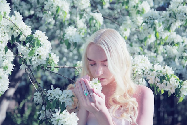 sharon-mccutcheon-QGhOYibh81o-unsplash