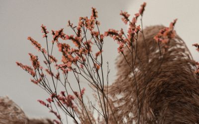 Ist das Trauma eigentlich deines?