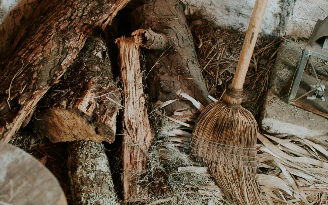 Was ist eine Völva?