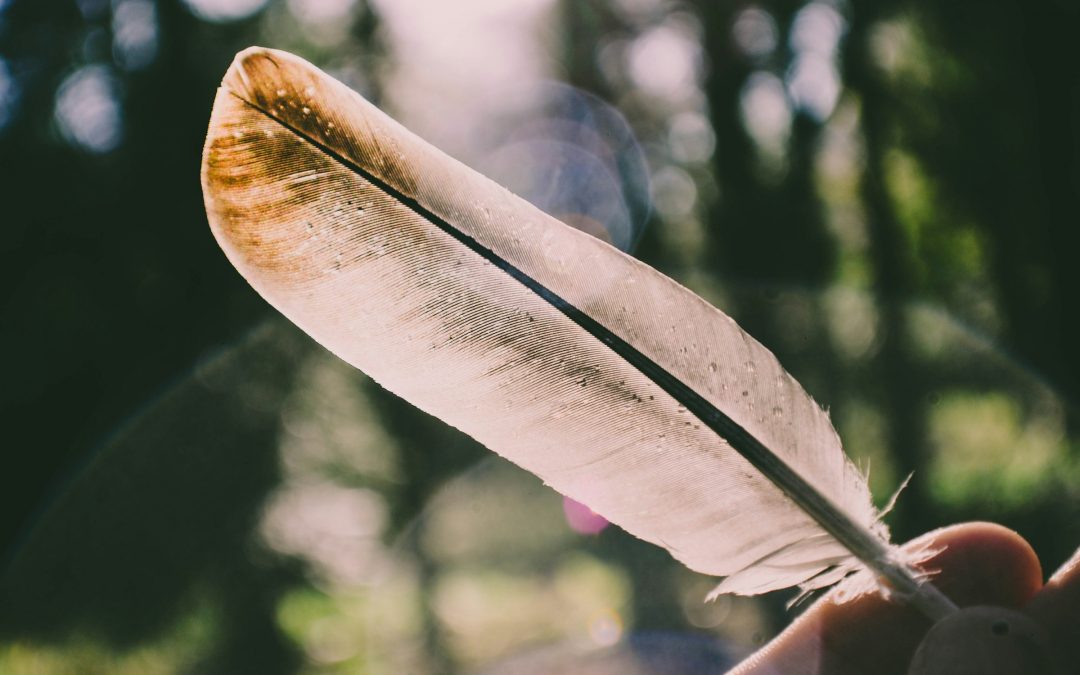 Fluch und Kraft der femininen Linie