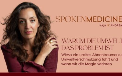 Warum die Umwelt das Problem ist